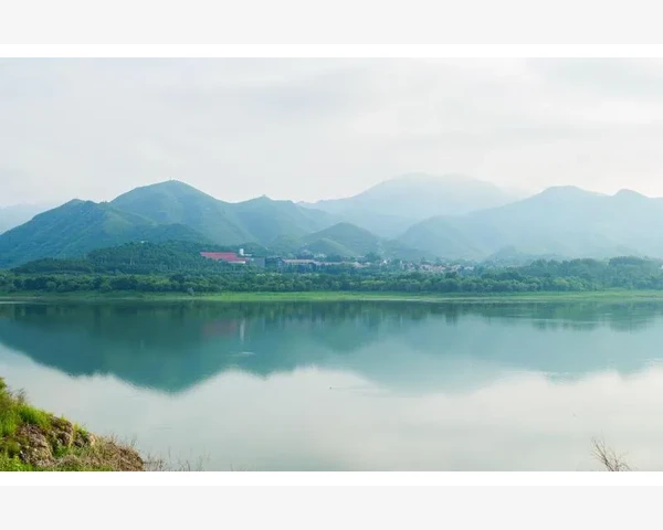 暖胃驱寒，中成药保健品为你带来温暖和舒适——中医传统养生方式科普