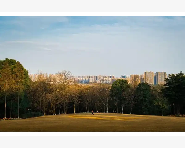 脸上斑斑点点，中医之道让你找回肌肤的均匀美